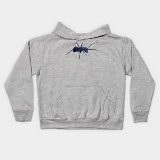 Blue ant Kids Hoodie